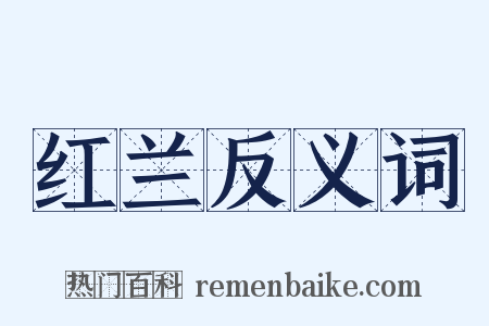 红兰反义词是什么意思的图片